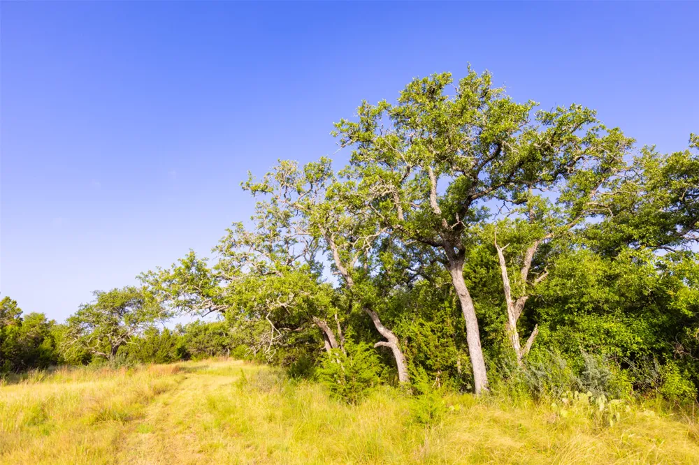 572 Turner Road Junction, TX 76859