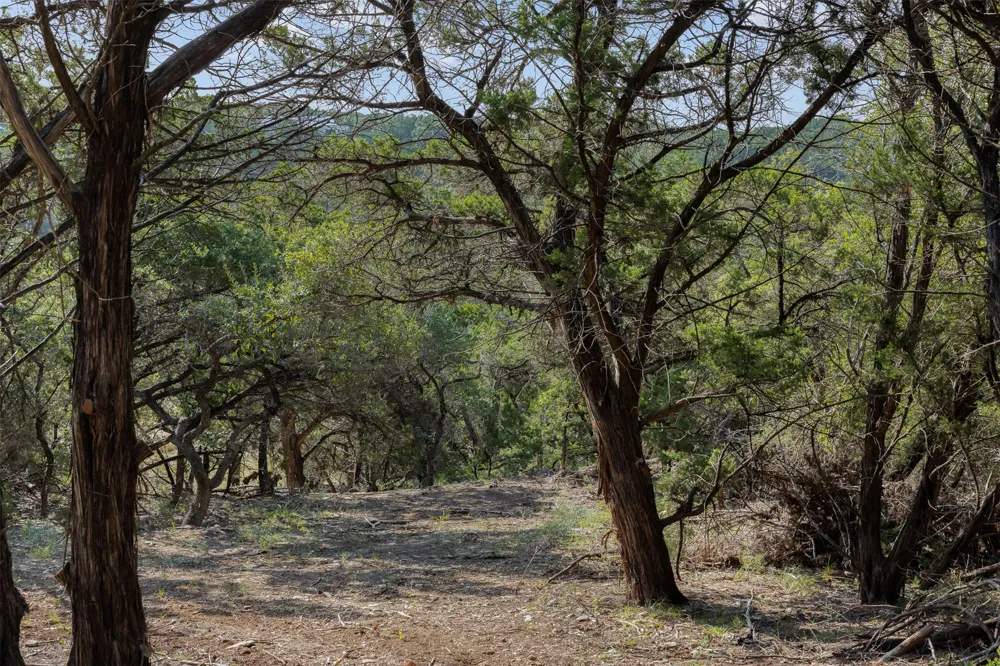 4 Mount Olive School Road Wimberley, TX 78676