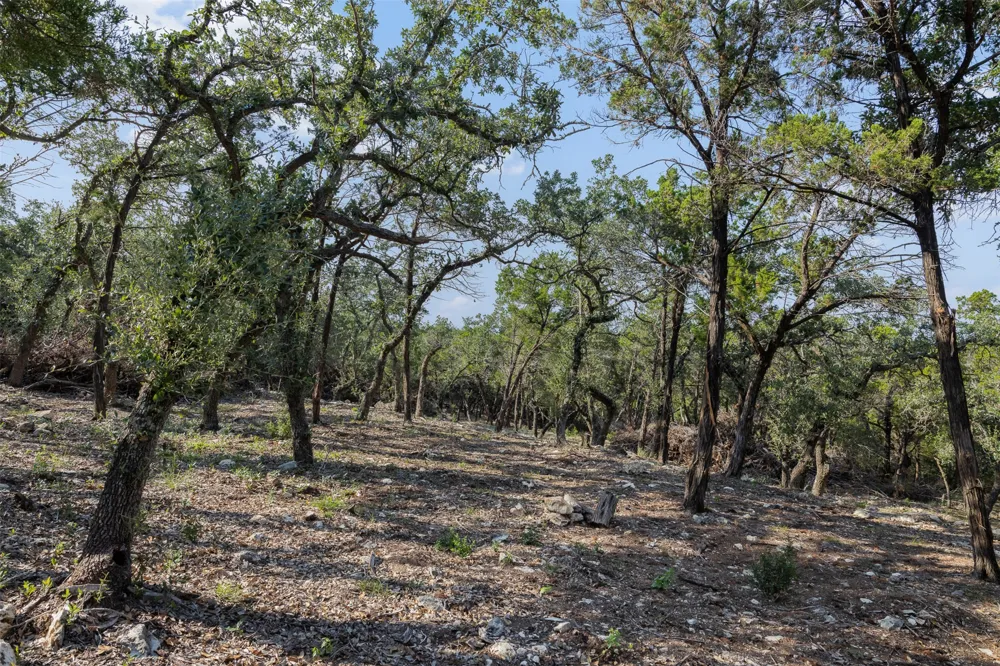 4 Mount Olive School Road Wimberley, TX 78676