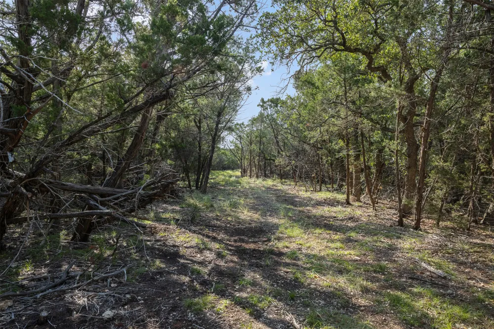 4 Mount Olive School Road Wimberley, TX 78676