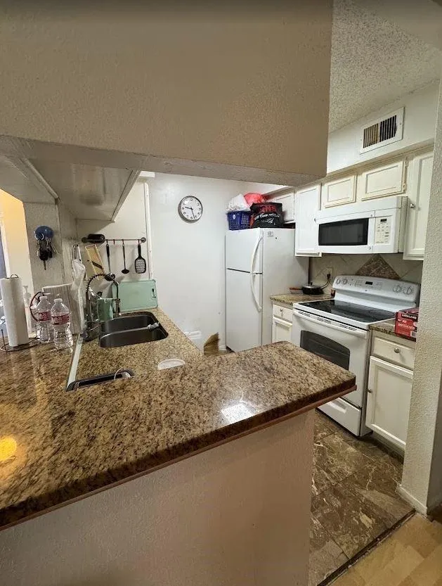 10555 Turtlewood Court #2609 Houston, TX 77072
