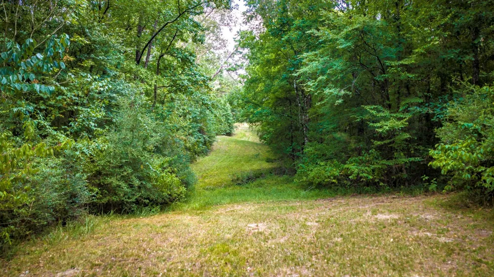 5535 Fm 350 Livingston, TX 77351