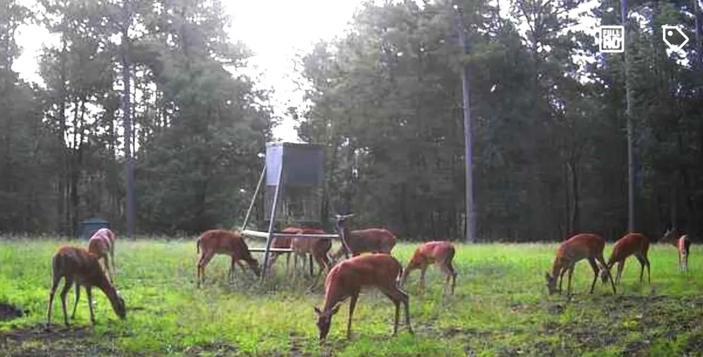 5535 Fm 350 Livingston, TX 77351