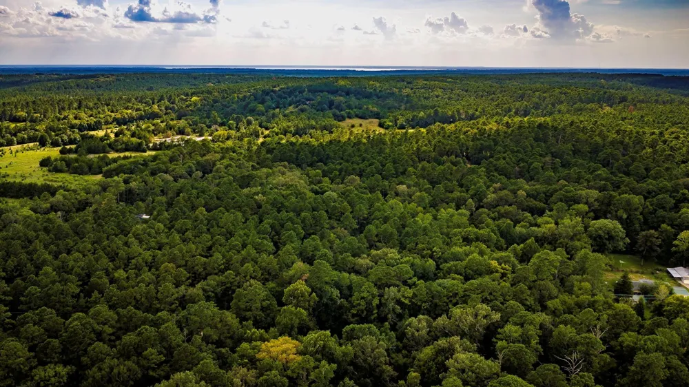 5535 Fm 350 Livingston, TX 77351