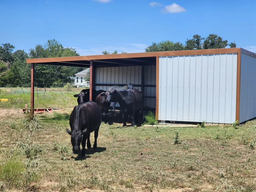 668 Fairview Drive Rockdale, TX 76567