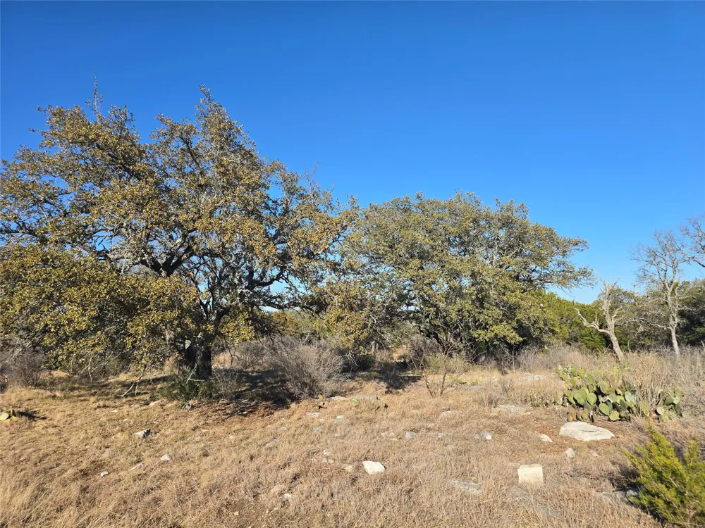 Tail Wind Lane Horseshoe Bay, TX 78657