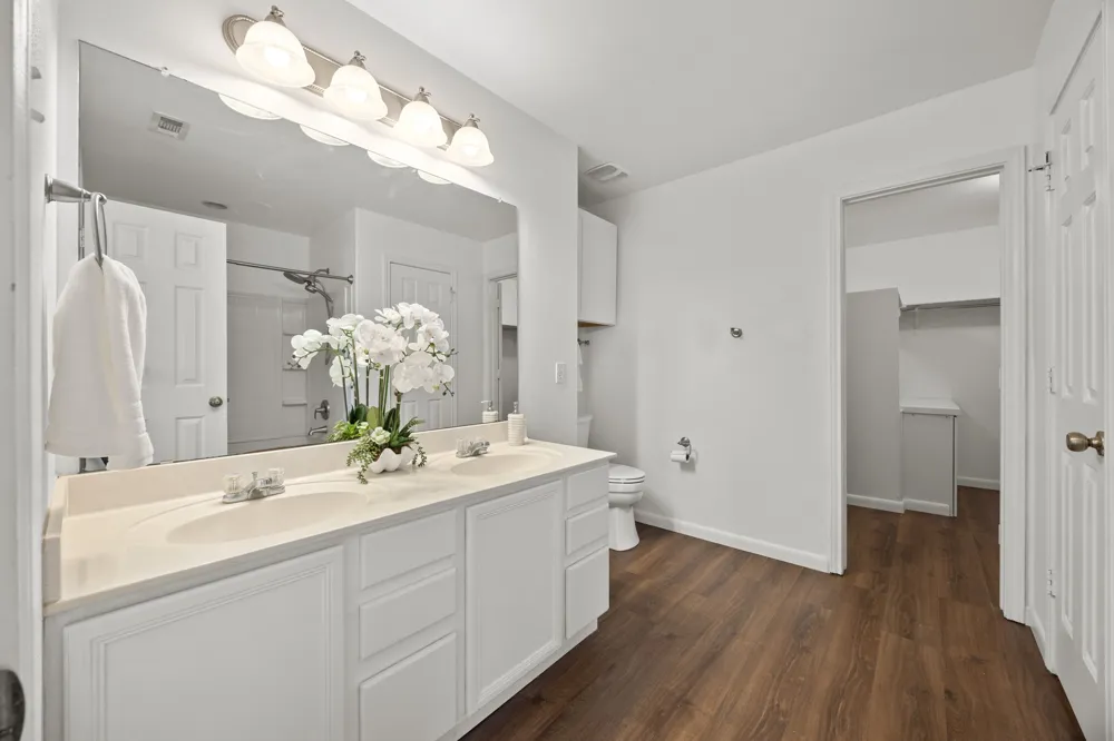 113 Bexar Forest Cove Elgin, TX 78621