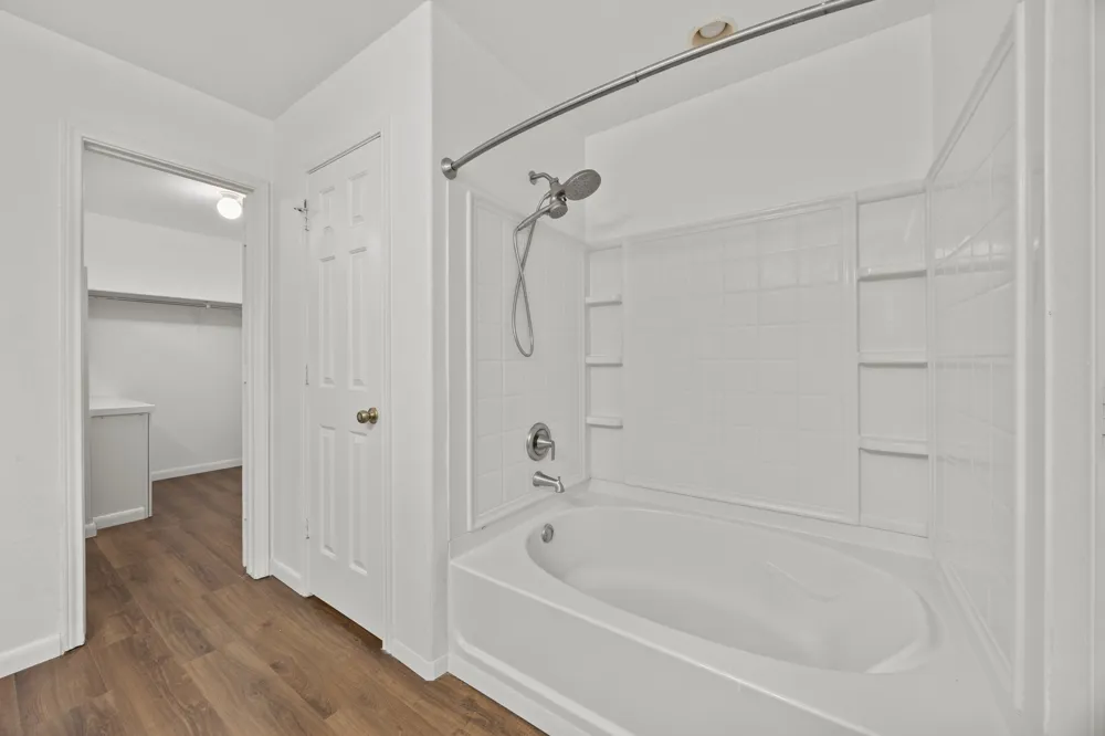 113 Bexar Forest Cove Elgin, TX 78621