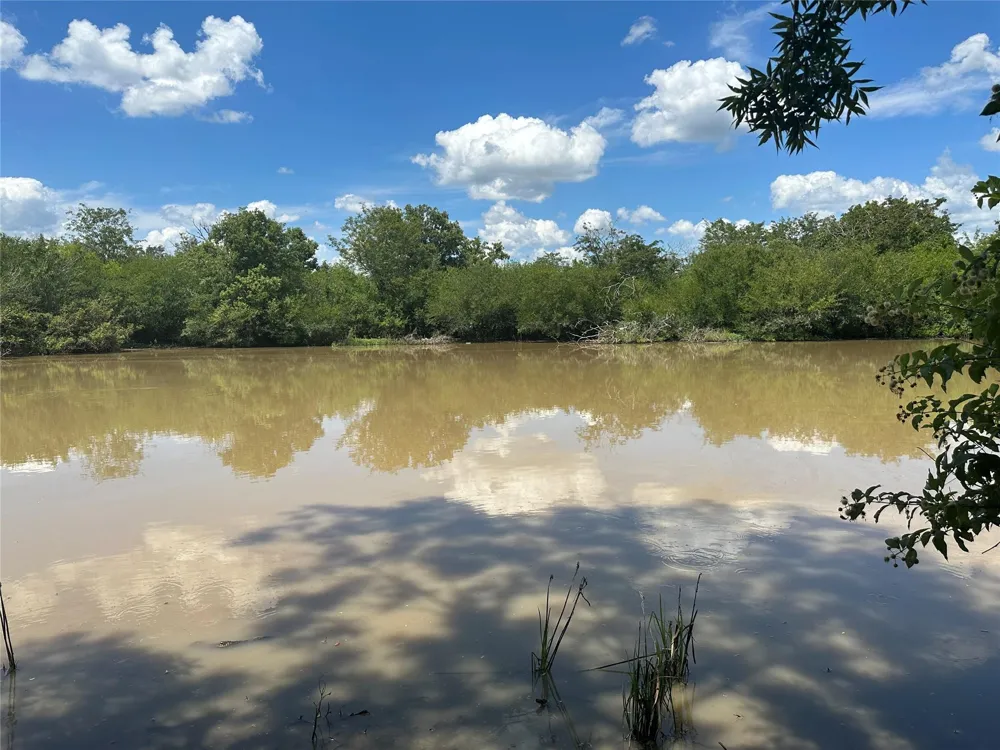 Navasota Ridge Road Navasota, TX 77868