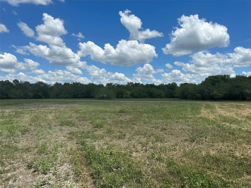 Navasota Ridge Road Navasota, TX 77868