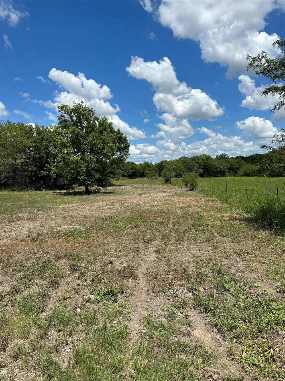 Navasota Ridge Road Navasota, TX 77868