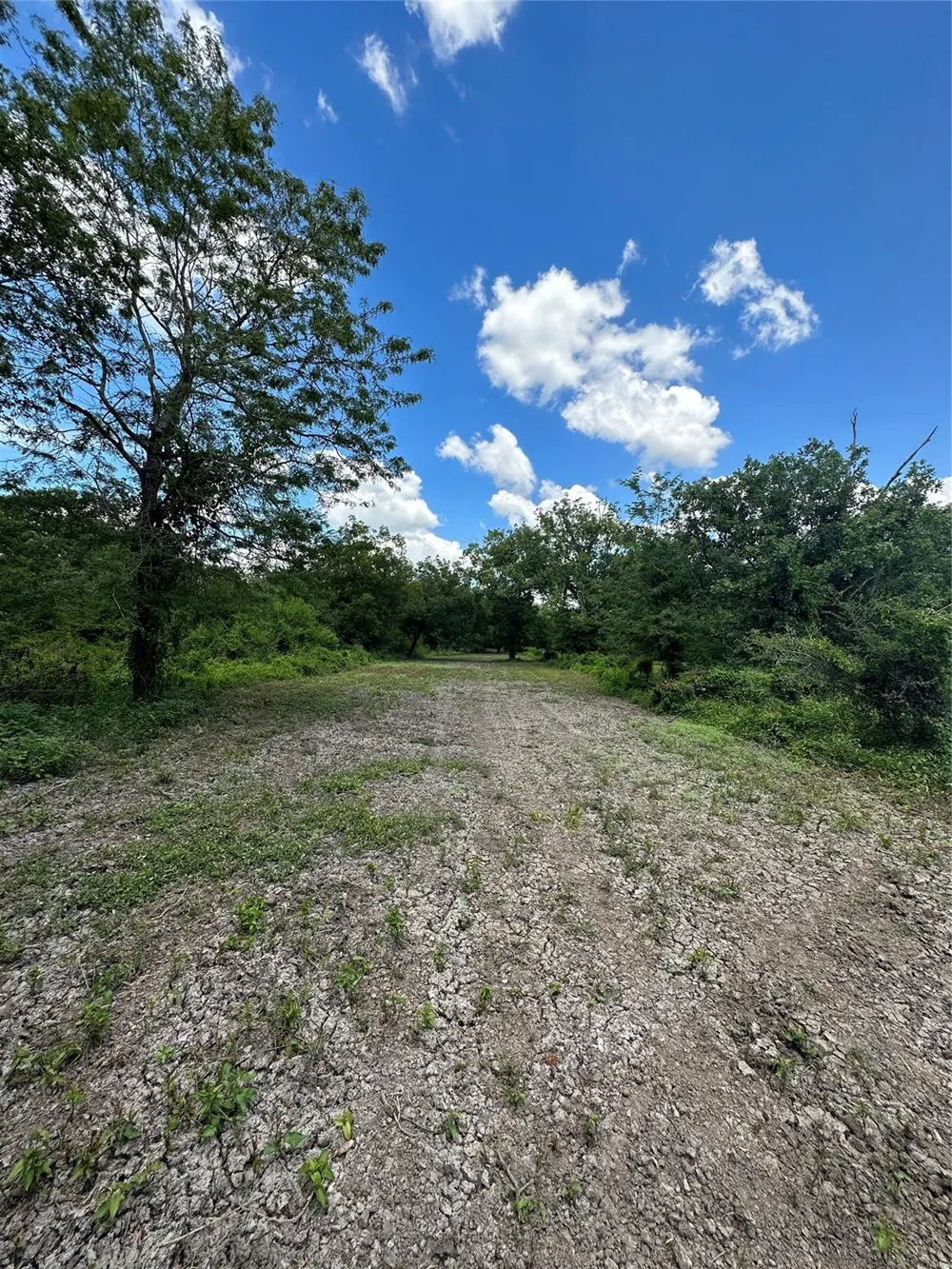 Navasota Ridge Road Navasota, TX 77868