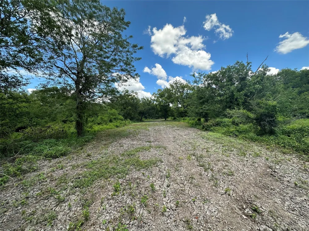 Navasota Ridge Road Navasota, TX 77868