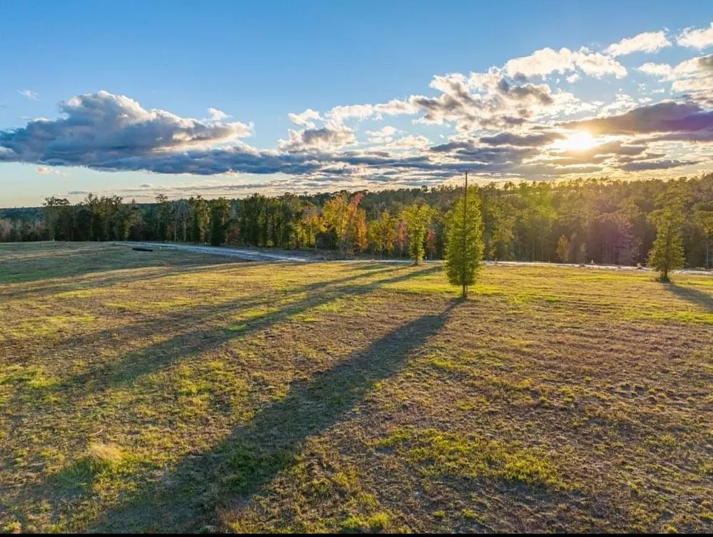 Covey Circle Livingston, TX 77351