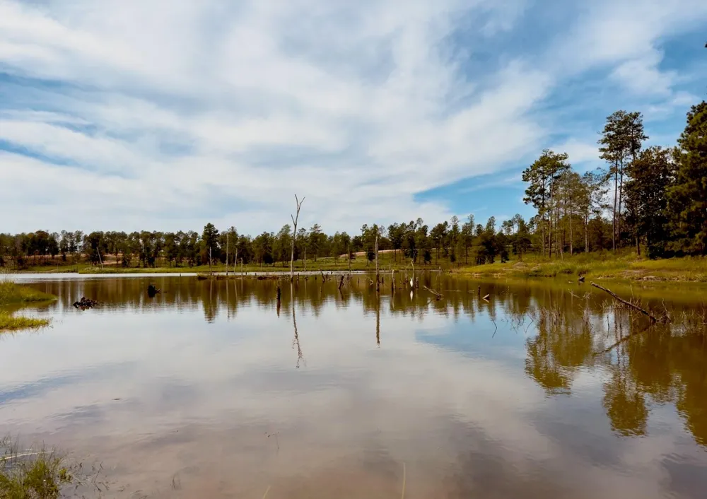 Covey Circle Livingston, TX 77351