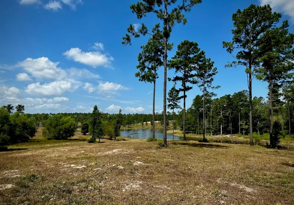 Covey Circle Livingston, TX 77351
