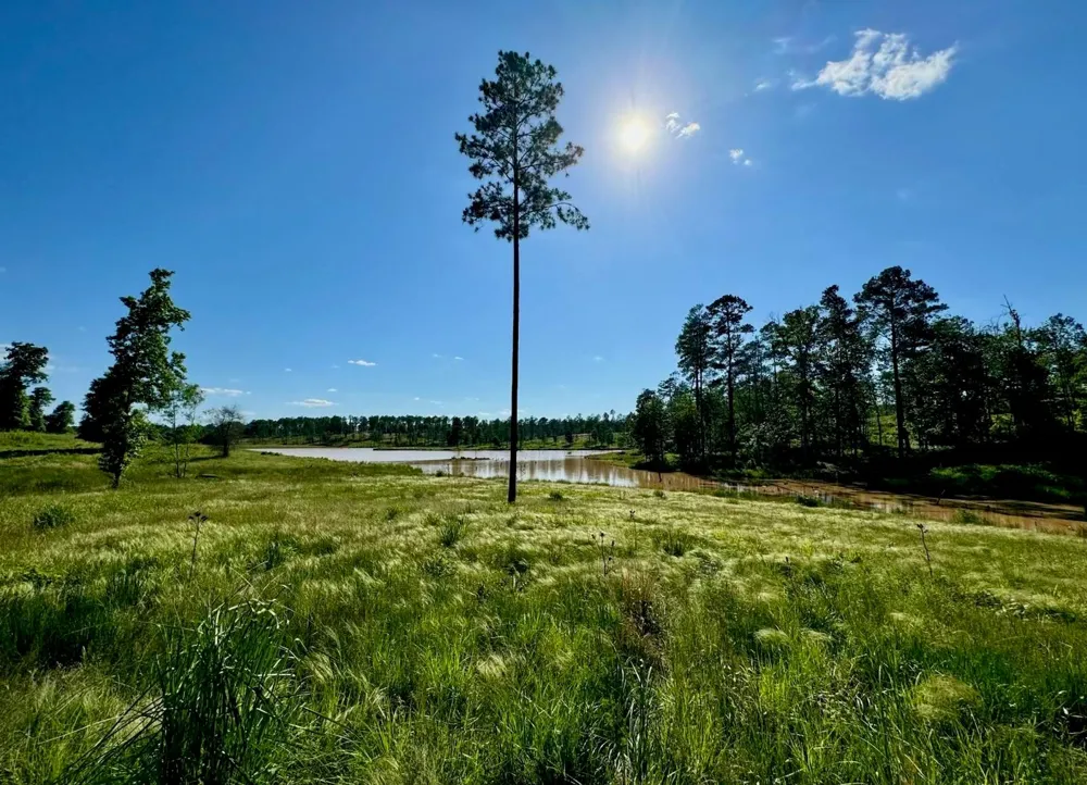 Covey Circle Livingston, TX 77351