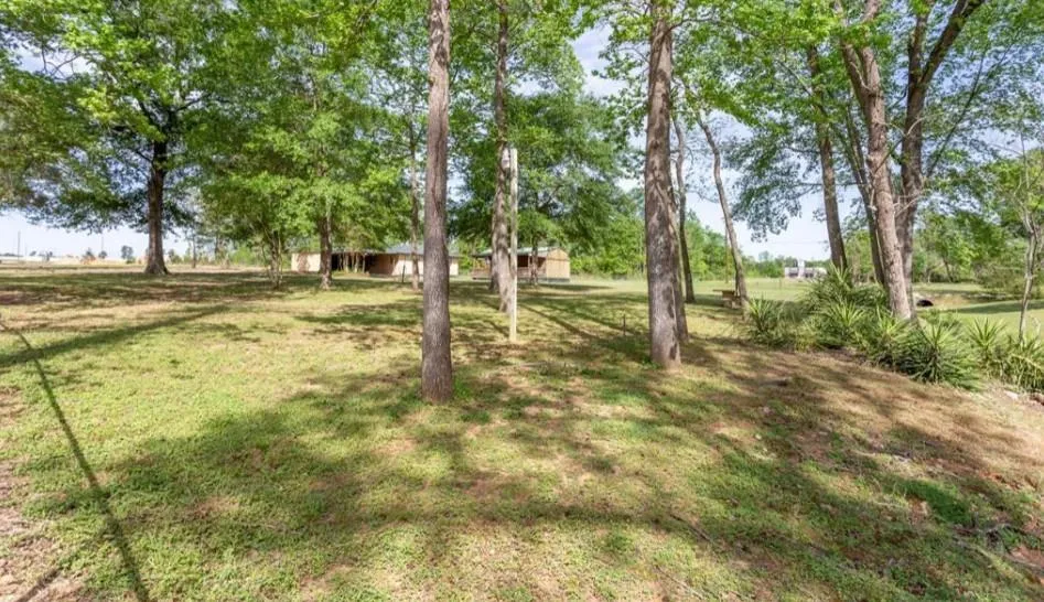 606 W Powell Street Willis, TX 77378