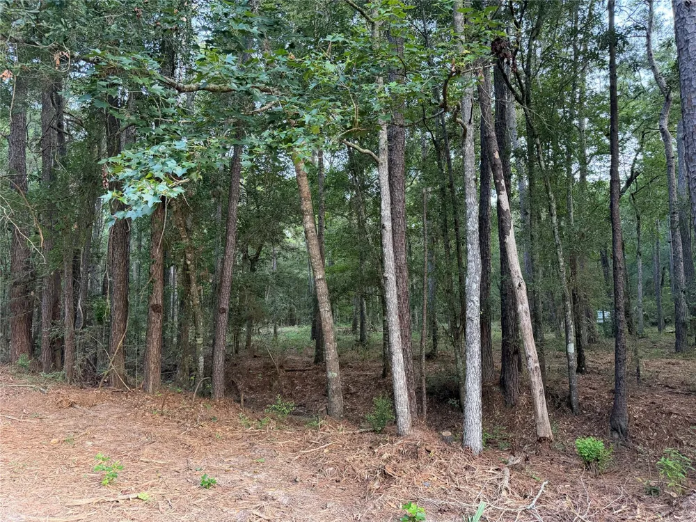 43 Sims Oak Road Splendora, TX 77372