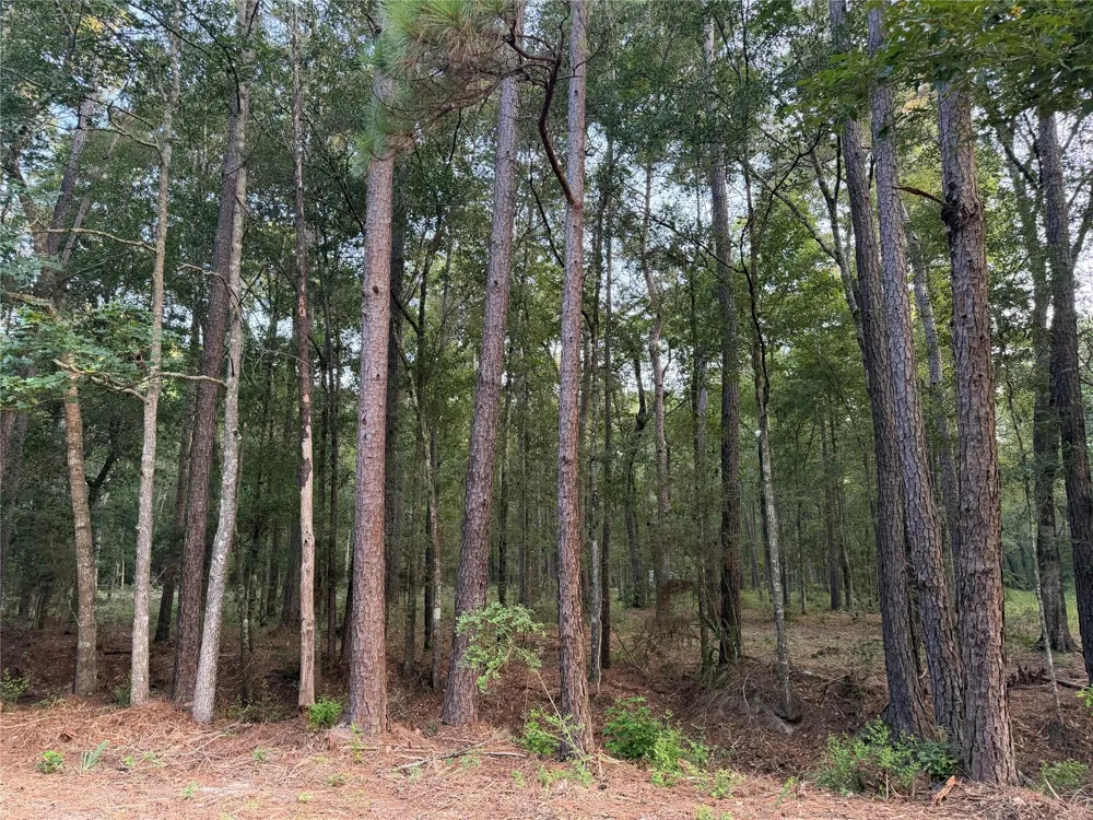 43 Sims Oak Road Splendora, TX 77372