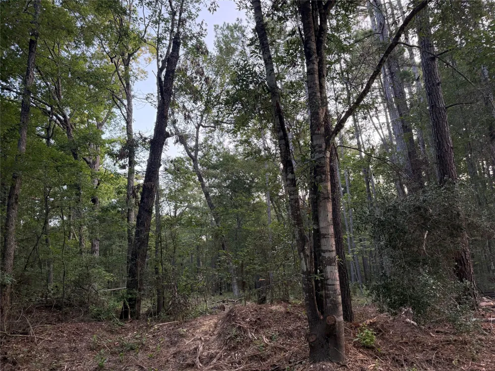 43 Sims Oak Road Splendora, TX 77372