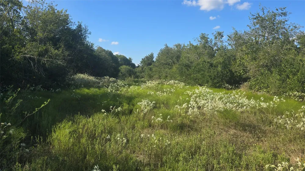 26 Winding Branch Chappell Hill, TX 77426