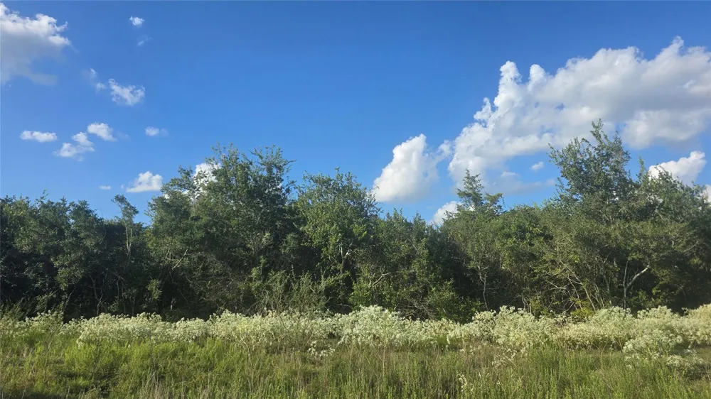 26 Winding Branch Chappell Hill, TX 77426