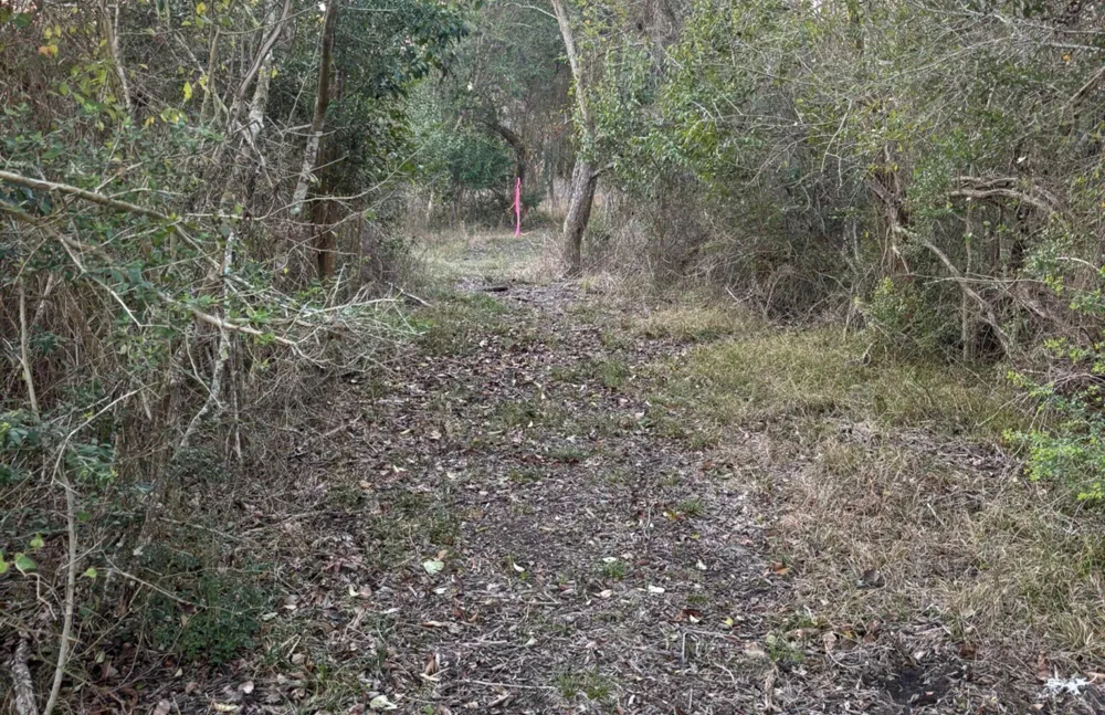 26 Winding Branch Chappell Hill, TX 77426