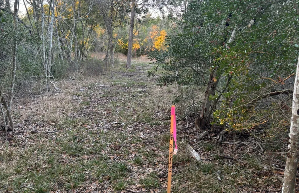26 Winding Branch Chappell Hill, TX 77426