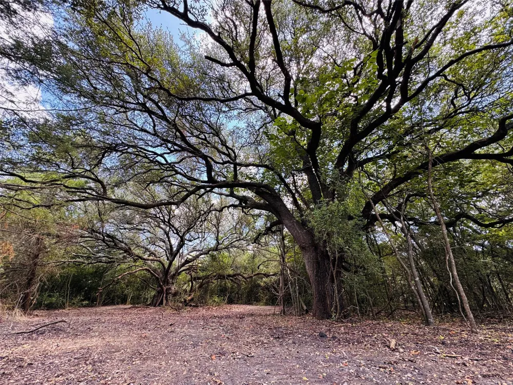 4400 Klekar-Gin Schulenburg, TX 78956