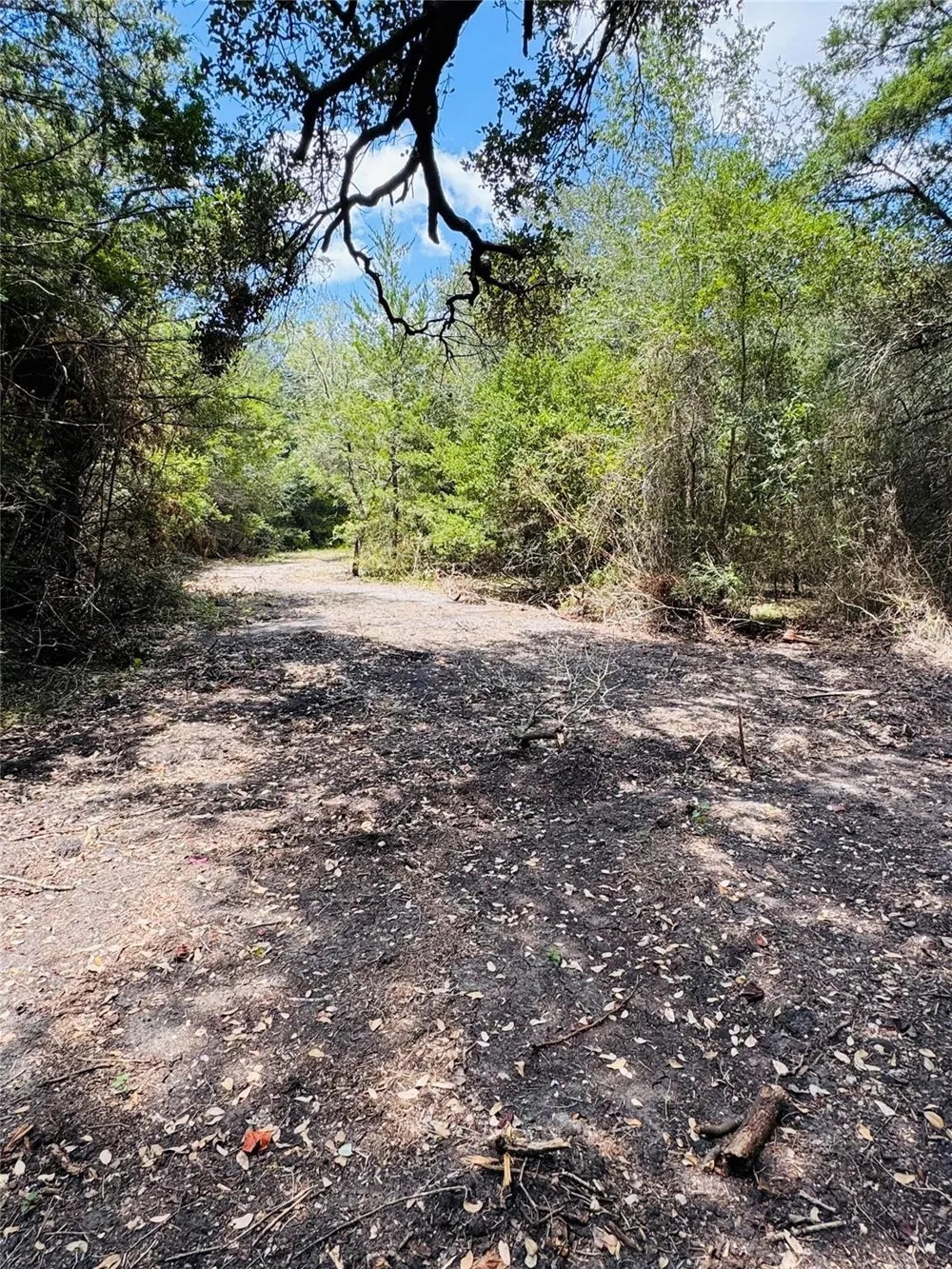 4400 Klekar-Gin Schulenburg, TX 78956