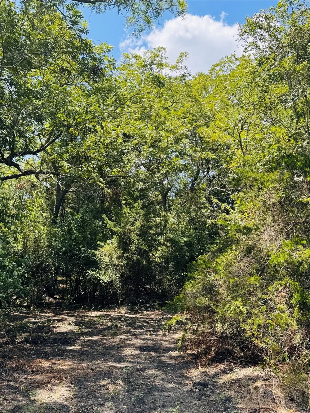 4400 Klekar-Gin Schulenburg, TX 78956