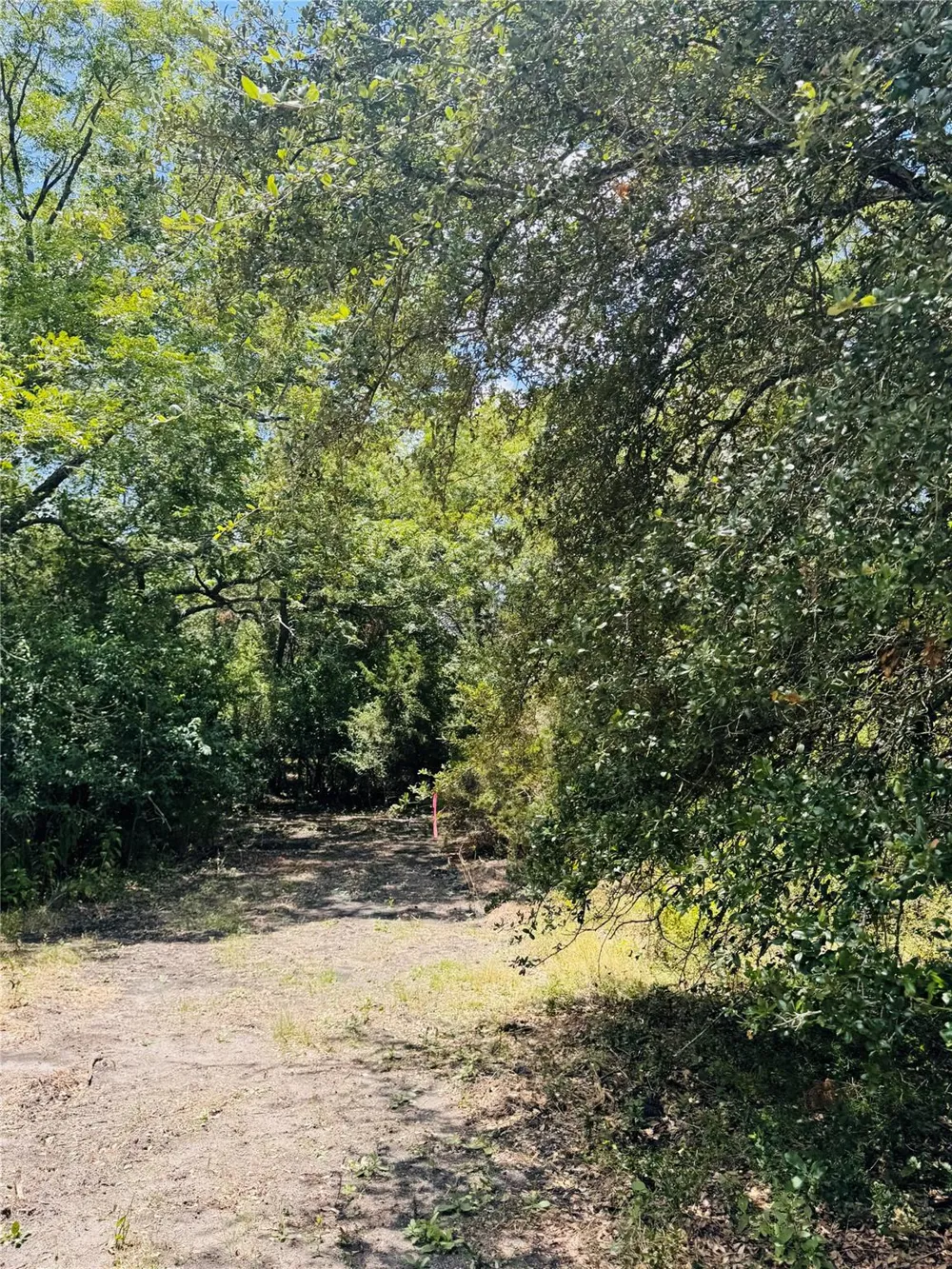 4400 Klekar-Gin Schulenburg, TX 78956