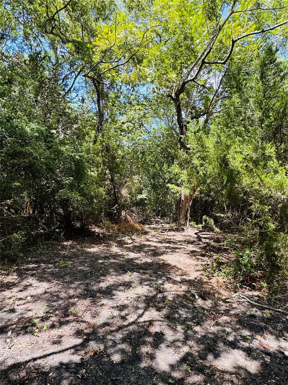 4400 Klekar-Gin Schulenburg, TX 78956
