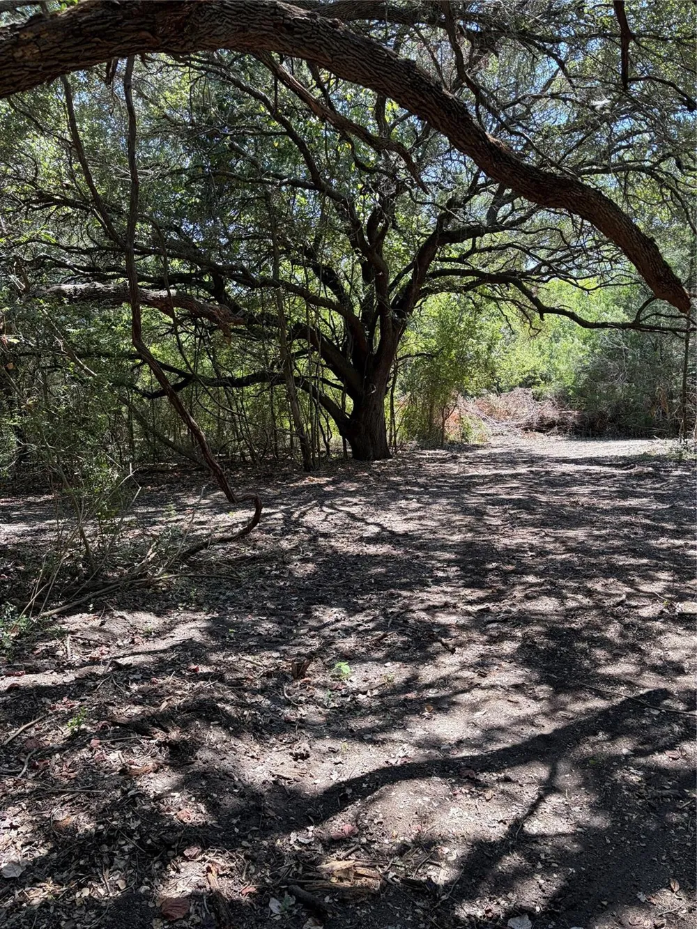 4400 Klekar-Gin Schulenburg, TX 78956