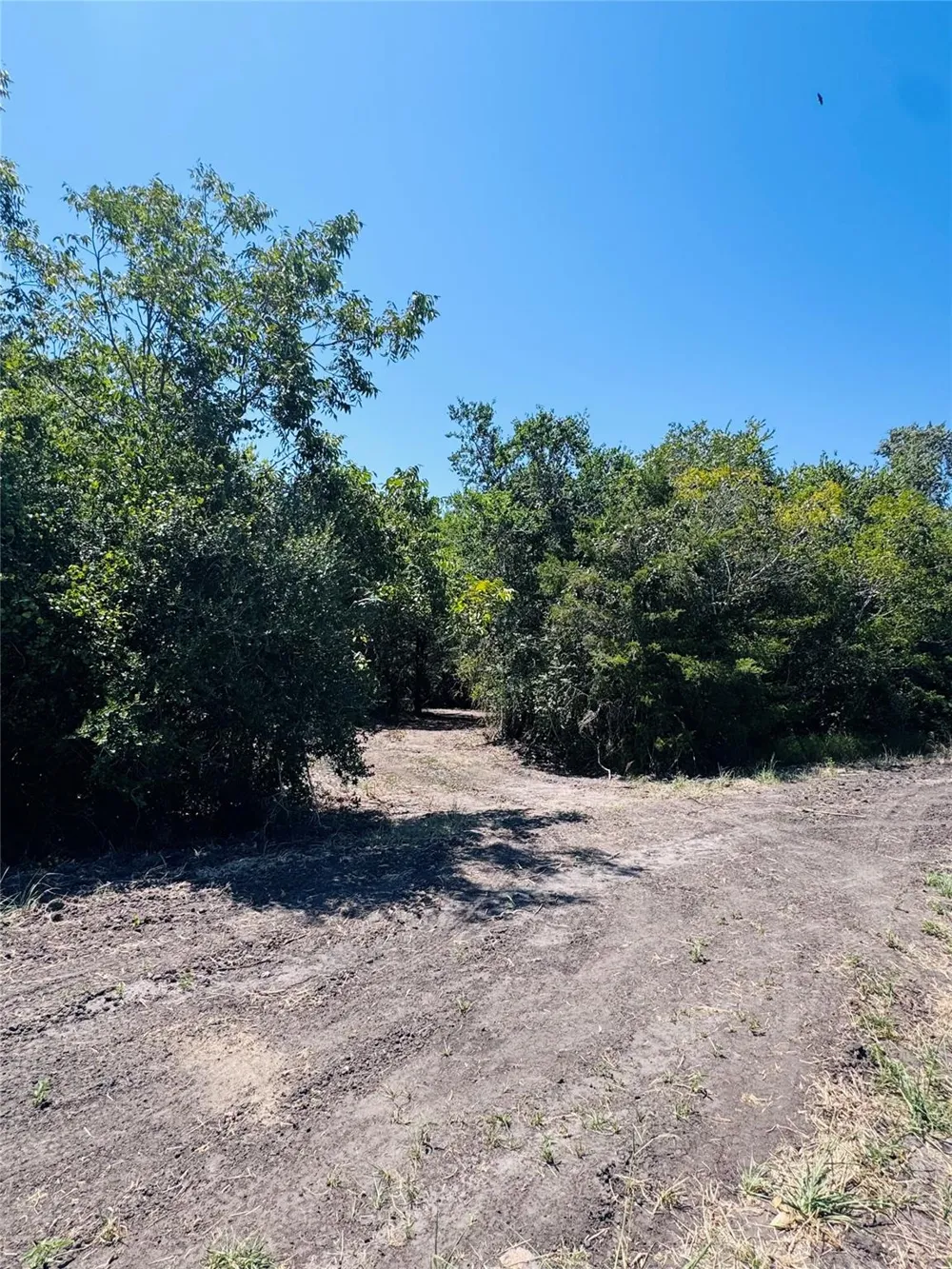 4400 Klekar-Gin Schulenburg, TX 78956