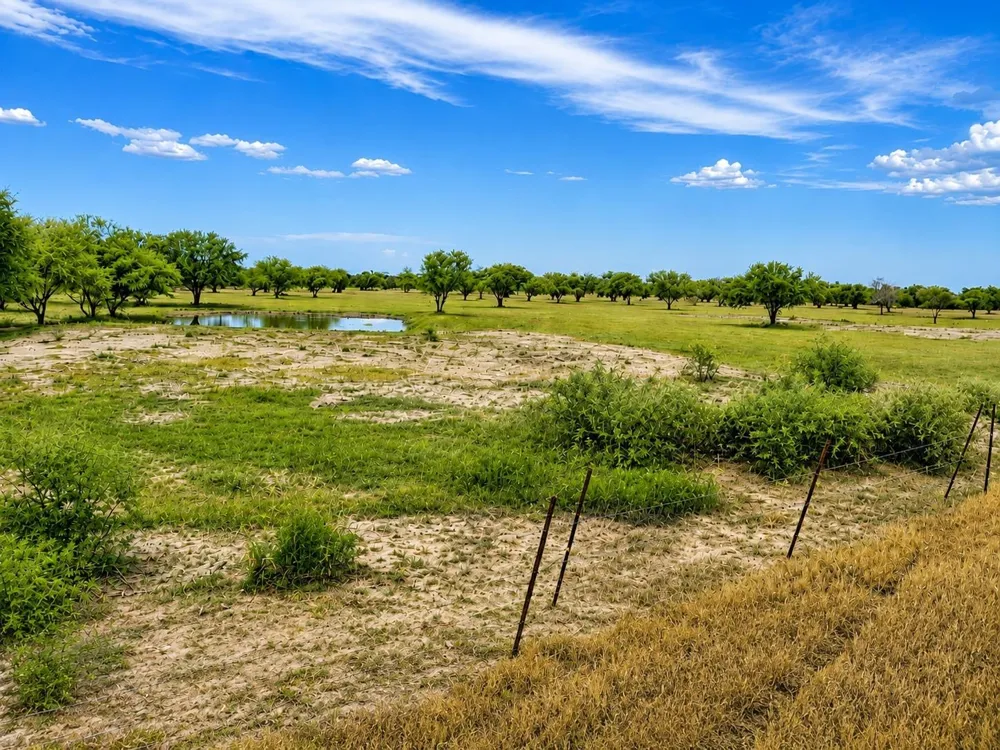 13510 Moody Road Needville, TX 77461