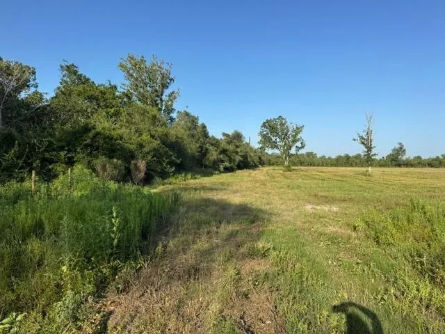 Fm 1462 Angleton, TX 77583