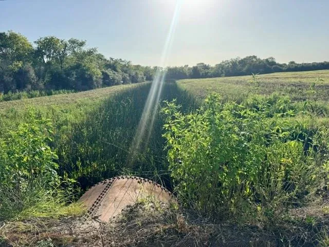 Fm 1462 Angleton, TX 77583