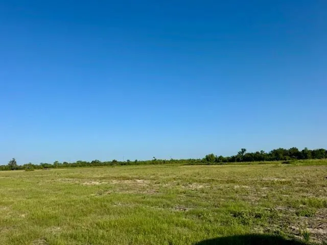 Fm 1462 Angleton, TX 77583