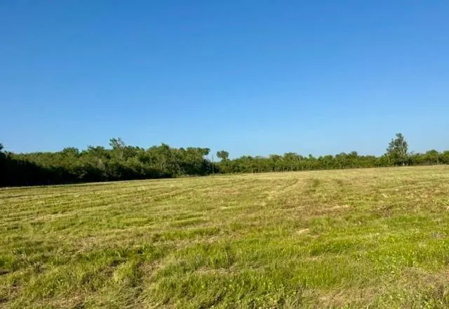 Fm 1462 Angleton, TX 77583