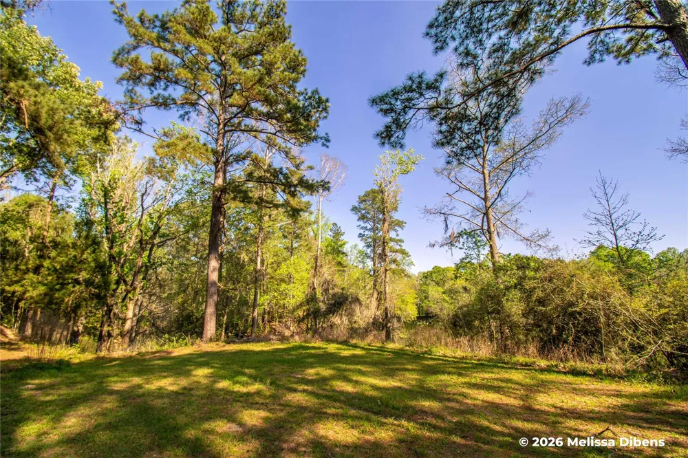 28 Rail Spur Cleveland, TX 77327