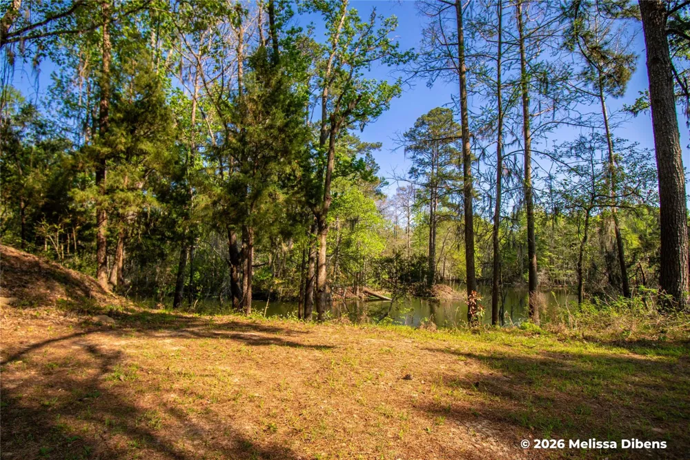 28 Rail Spur Cleveland, TX 77327