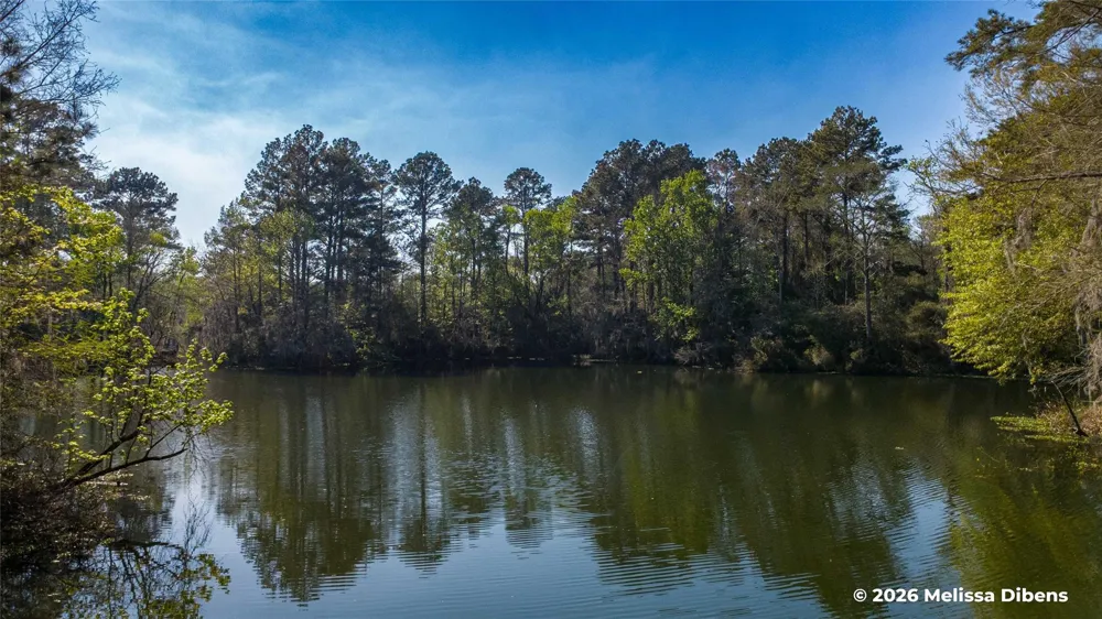 28 Rail Spur Cleveland, TX 77327