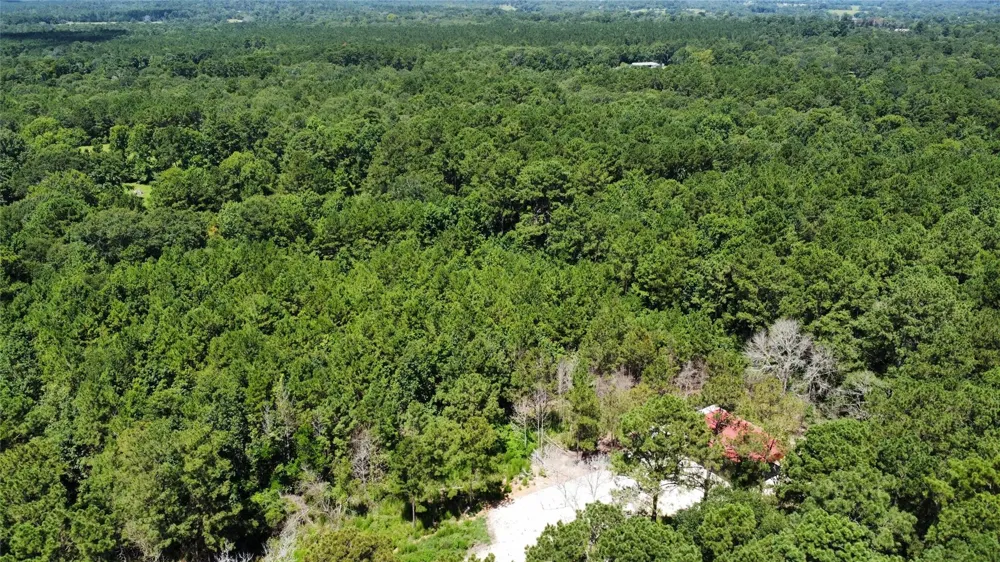 150 Mcbride Trail Coldspring, TX 77331