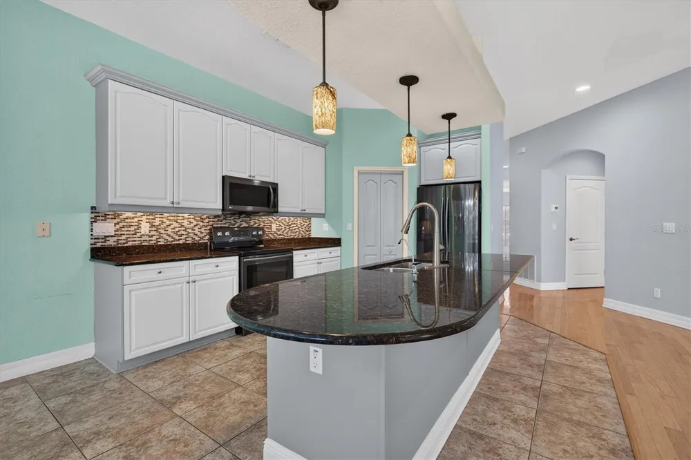 1652 CITRINE TRAIL Tarpon Springs, FL 34689
