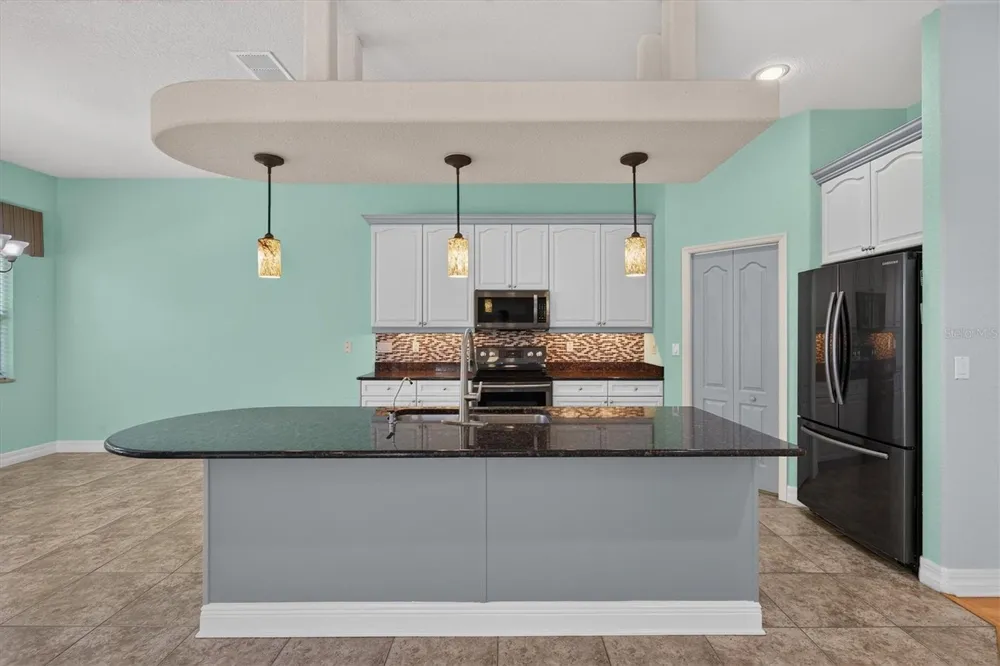 1652 CITRINE TRAIL Tarpon Springs, FL 34689