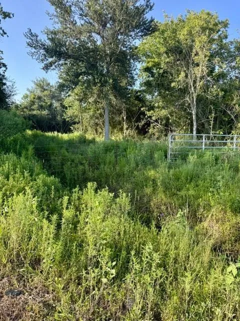 Fm 1462 E Rosharon, TX 77583