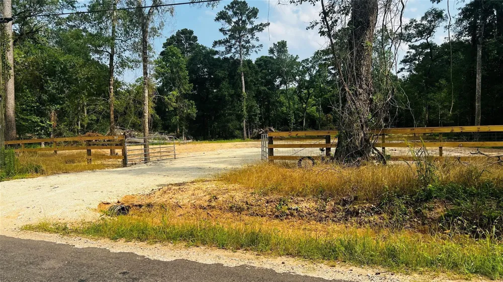 1655 Clark Rd Plantersville, TX 77363