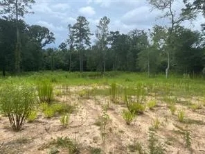 1655 Clark Rd Plantersville, TX 77363